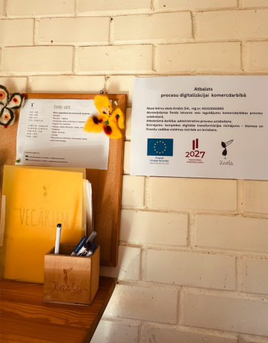 Ar programmas “Digitālā Eiropa” konkursa atbalstu ir izdevies SIA “Mazo Bērnu skola Knābis” veikt iekšējo biznesa procesu digitalizāciju